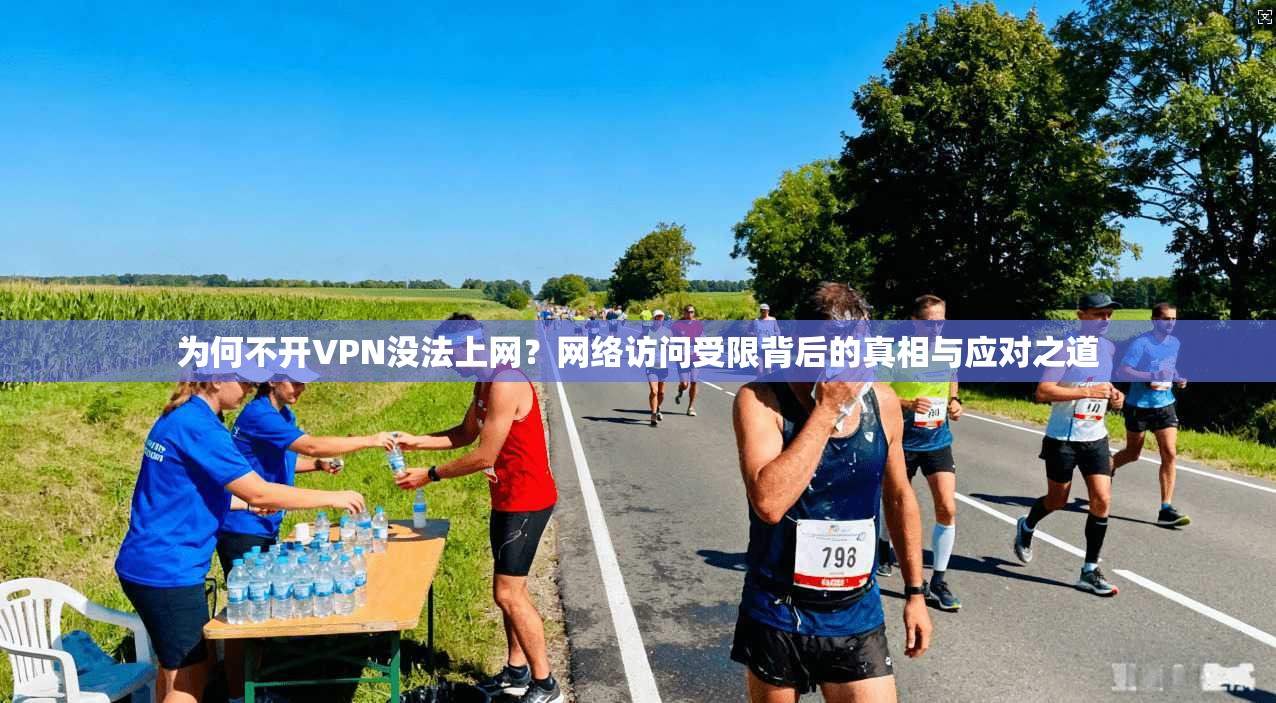为何不开VPN没法上网?网络访问受限背后的真相与应对之道 为何不开VPN没法上网?网络访问受限背后的真相与应对之道