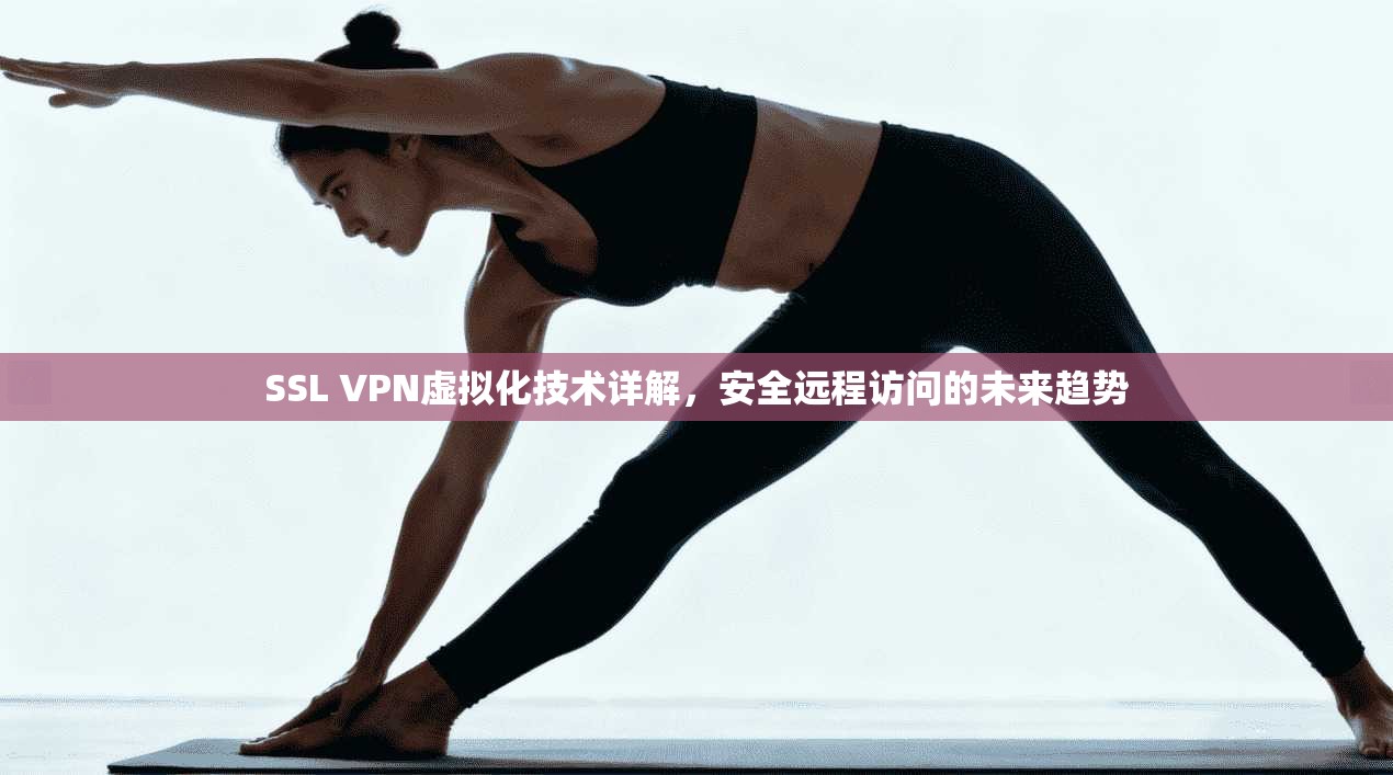 SSL VPN虚拟化技术详解，安全远程访问的未来趋势