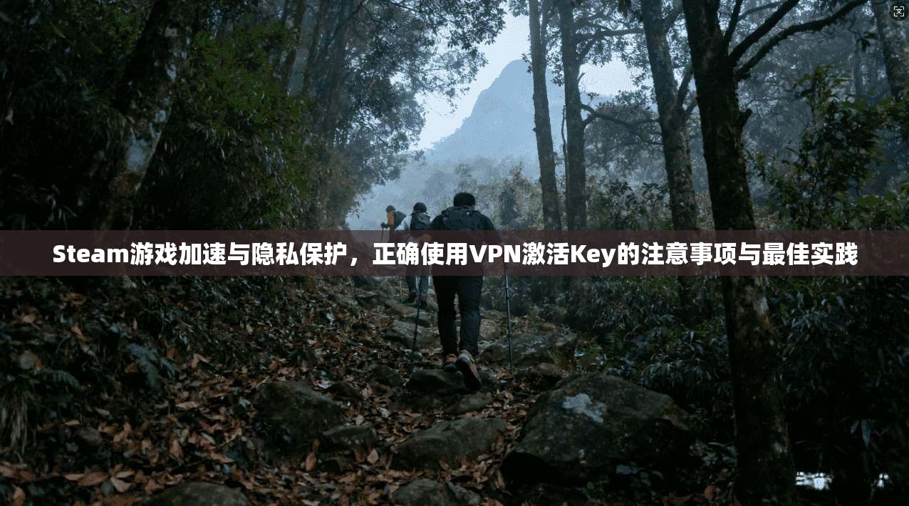 Steam游戏加速与隐私保护,正确使用VPN激活Key的注意事项与最佳实践 Steam游戏加速与隐私保护,正确使用VPN激活Key的注意事项与最佳实践