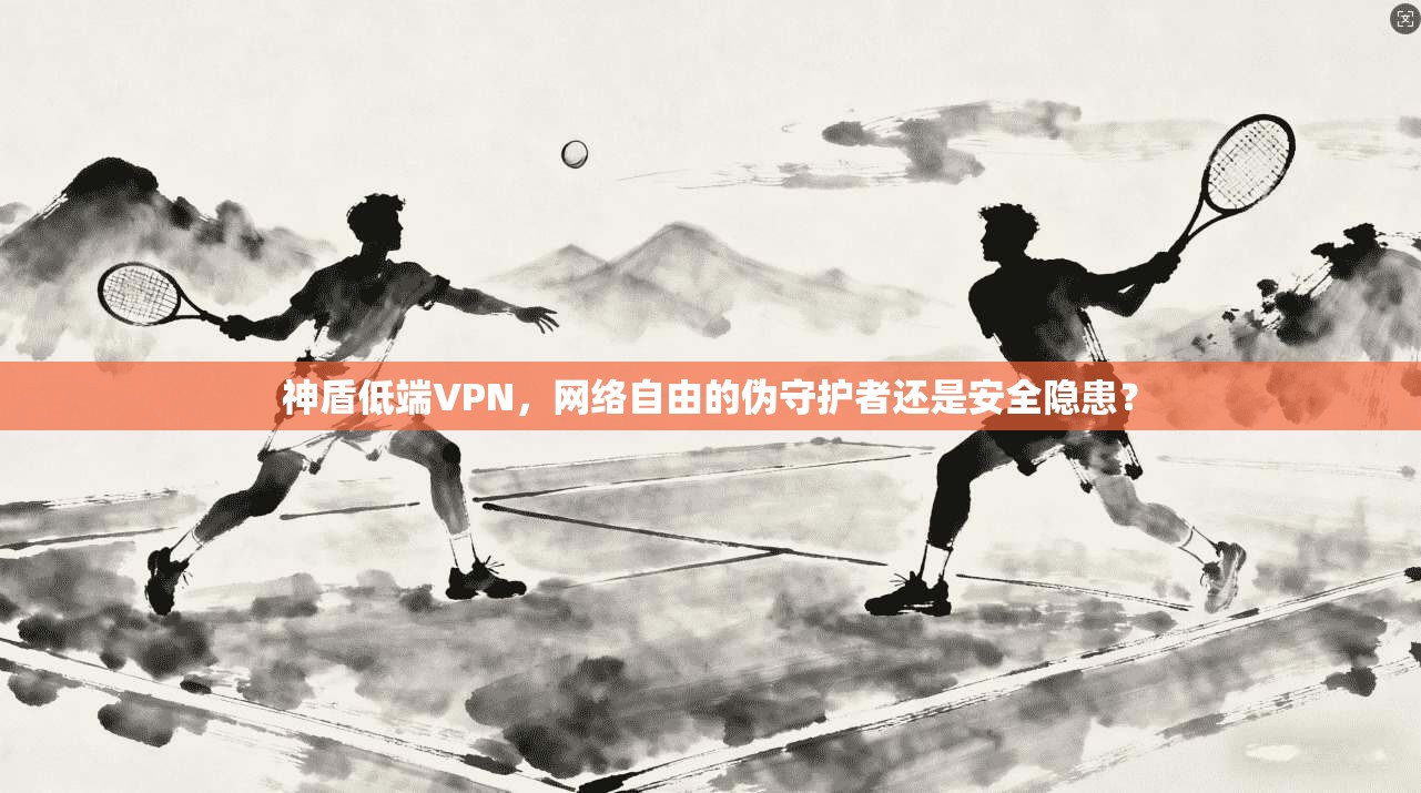 神盾低端VPN,网络自由的伪守护者还是安全隐患? 神盾低端VPN,网络自由的伪守护者还是安全隐患?