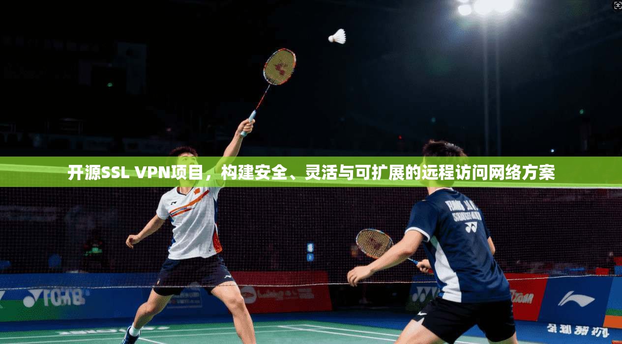 开源SSL VPN项目，构建安全、灵活与可扩展的远程访问网络方案