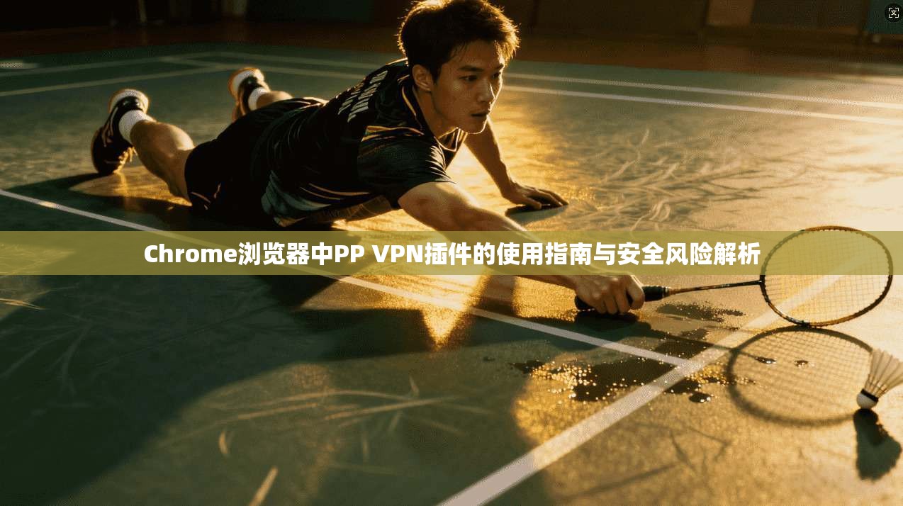 Chrome浏览器中PP VPN插件的使用指南与安全风险解析