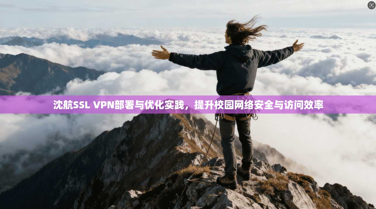 沈航SSL VPN部署与优化实践,提升校园网络安全与访问效率 沈航SSL VPN部署与优化实践,提升校园网络安全与访问效率