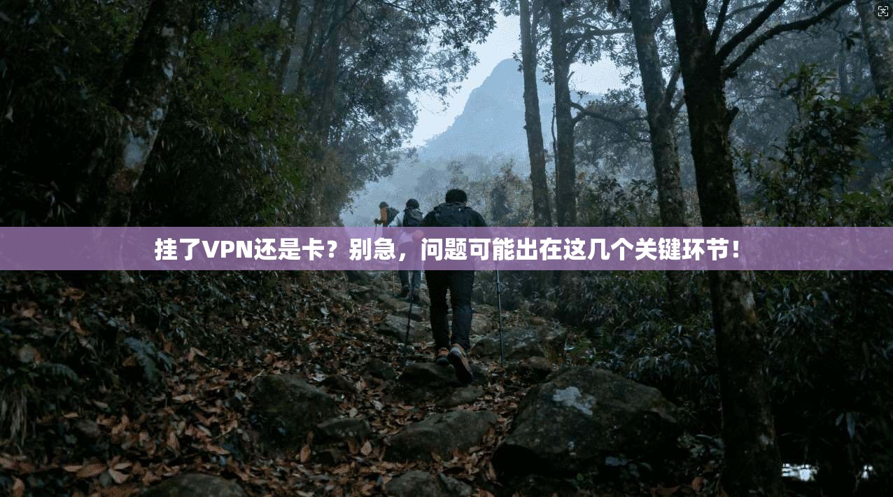 挂了VPN还是卡?别急,问题可能出在这几个关键环节! 挂了VPN还是卡?别急,问题可能出在这几个关键环节!