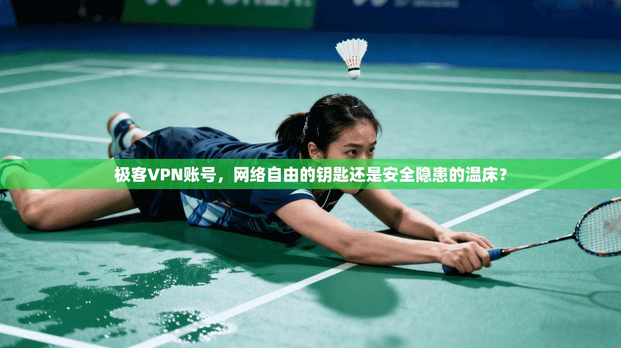 极客VPN账号,网络自由的钥匙还是安全隐患的温床? 极客VPN账号,网络自由的钥匙还是安全隐患的温床?