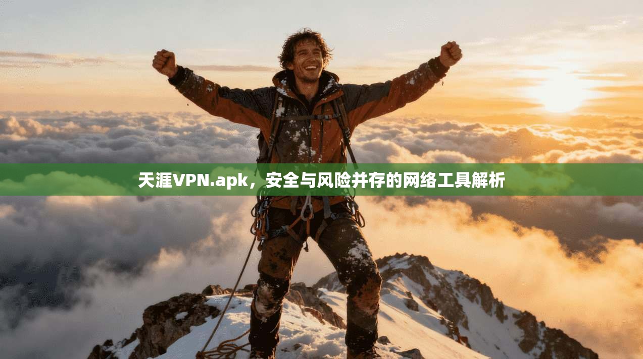 天涯VPN.apk,安全与风险并存的网络工具解析 天涯VPN.apk,安全与风险并存的网络工具解析