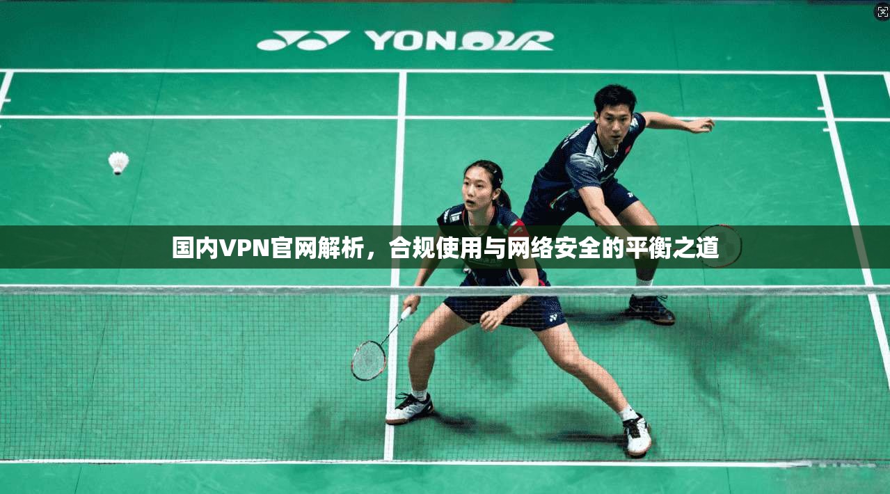 国内VPN官网解析,合规使用与网络安全的平衡之道 国内VPN官网解析,合规使用与网络安全的平衡之道