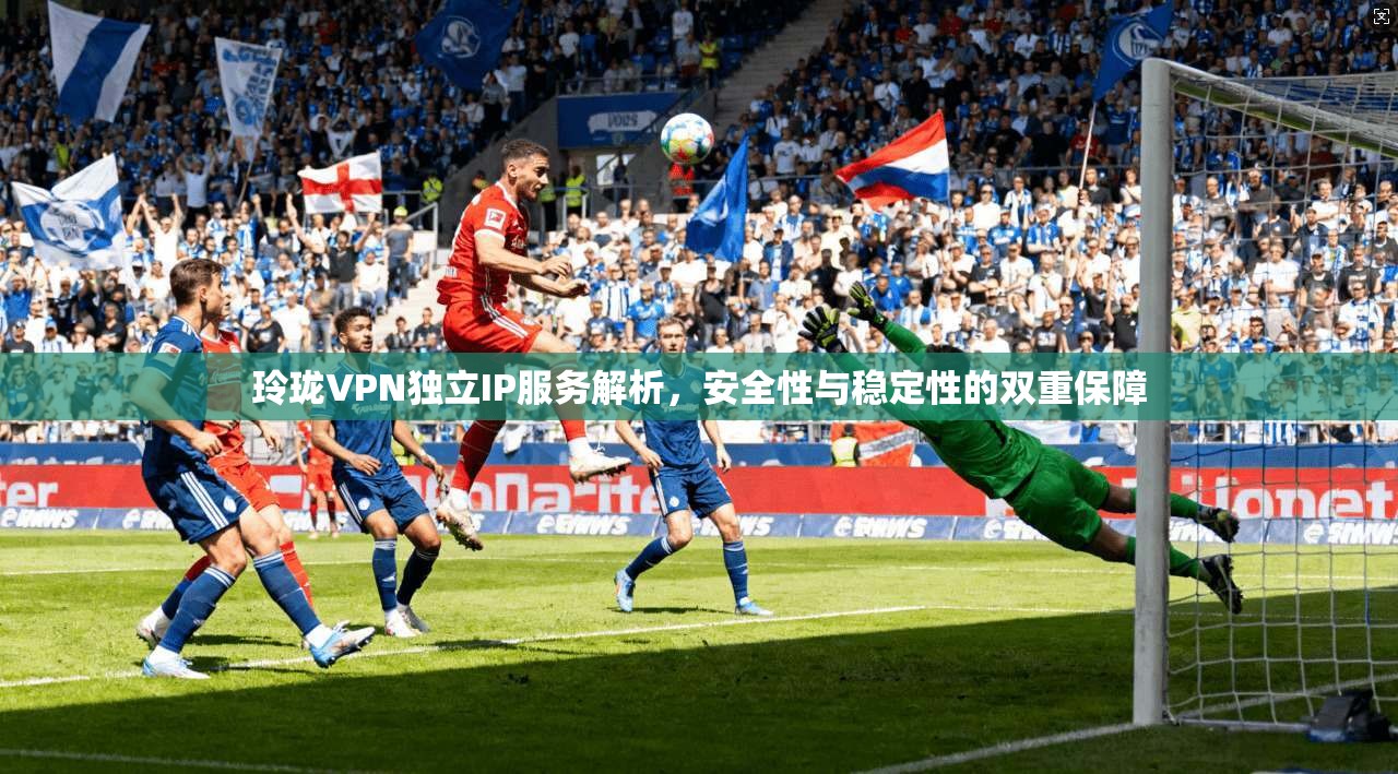 玲珑VPN独立IP服务解析，安全性与稳定性的双重保障