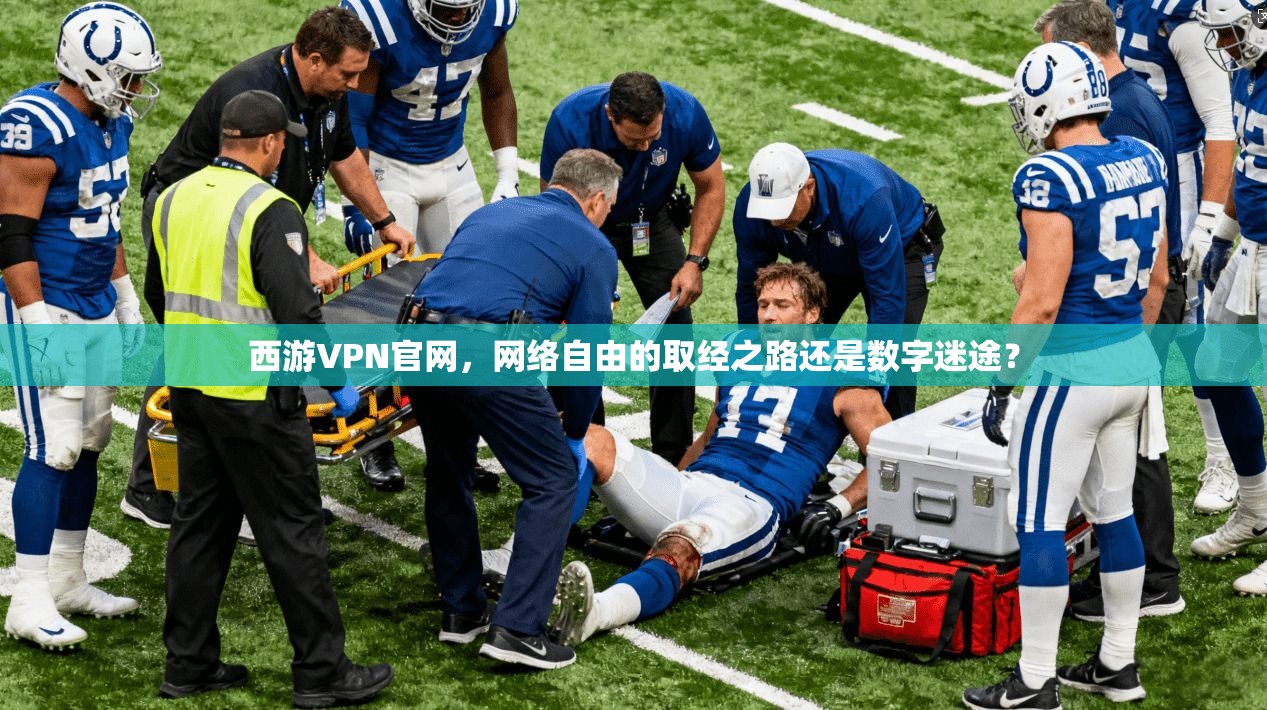 西游VPN官网，网络自由的取经之路还是数字迷途？