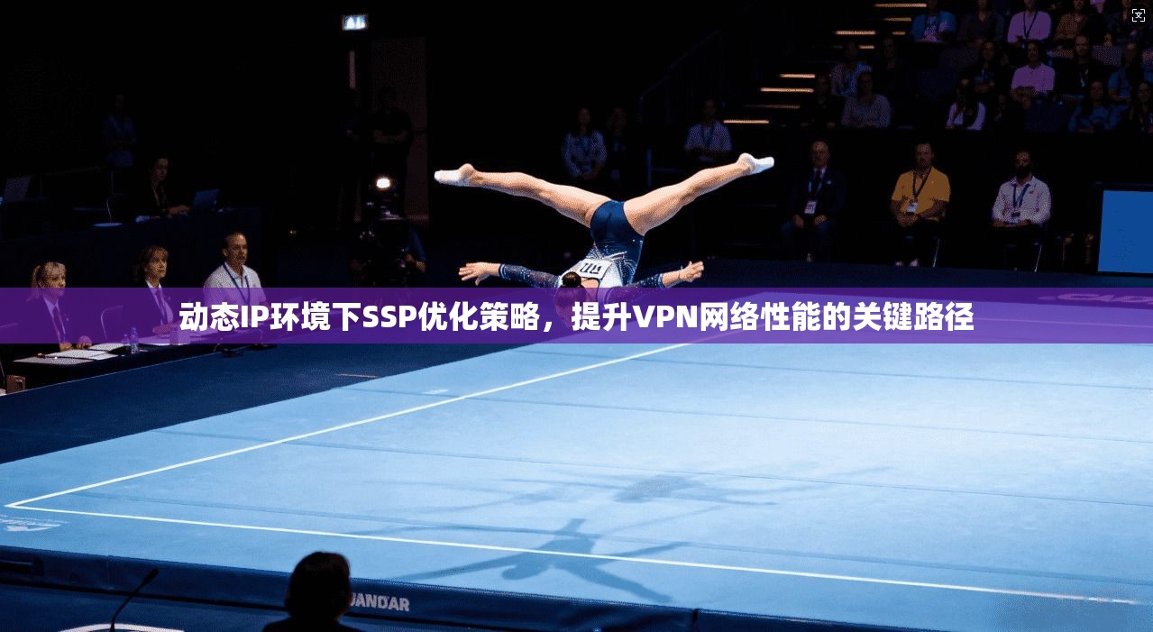 动态IP环境下SSP优化策略，提升VPN网络性能的关键路径