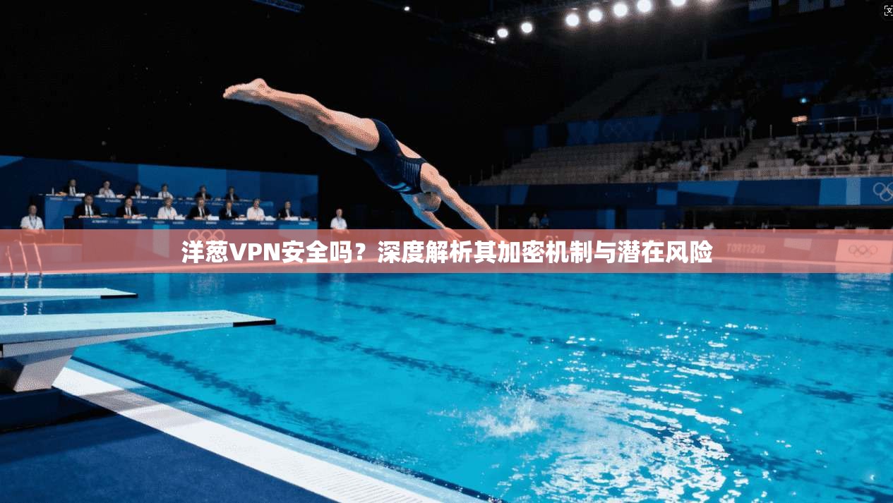 洋葱VPN安全吗？深度解析其加密机制与潜在风险