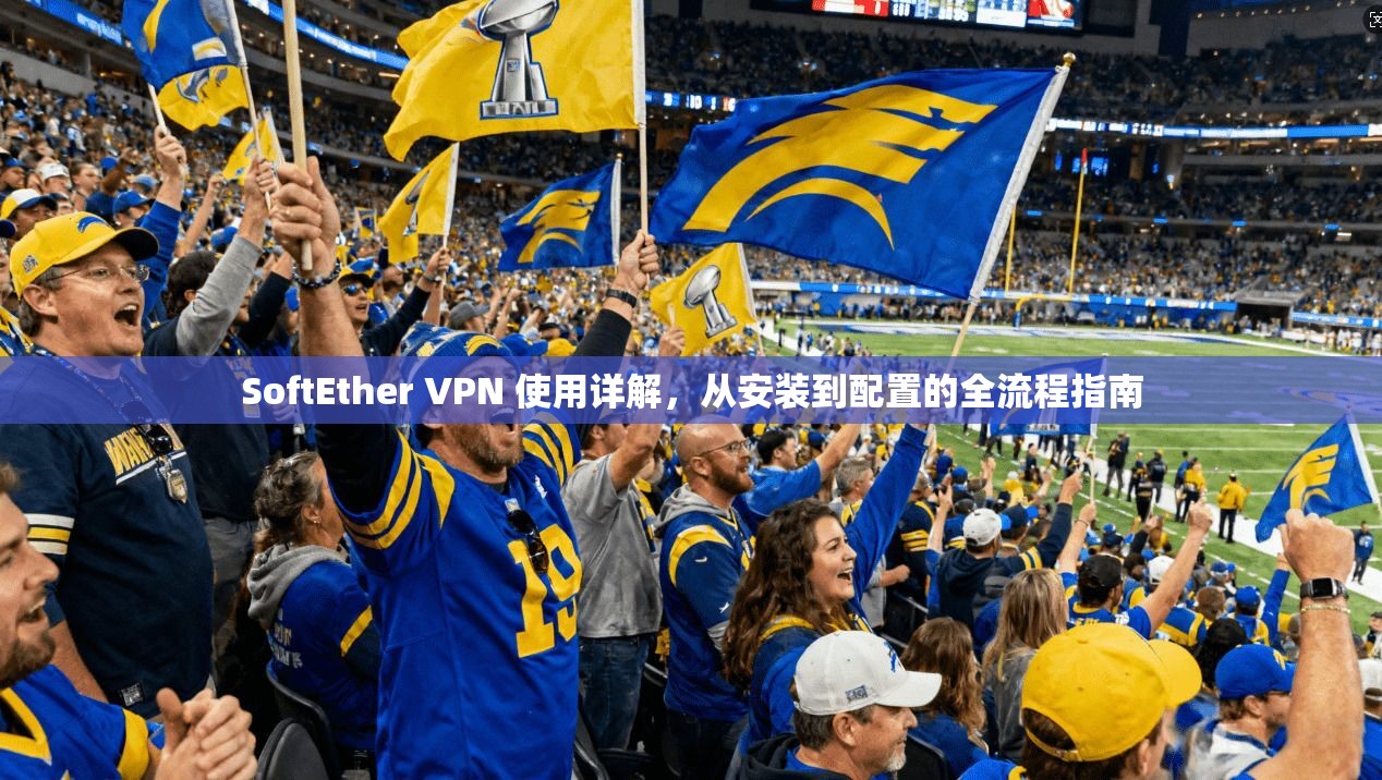 SoftEther VPN 使用详解,从安装到配置的全流程指南 SoftEther VPN 使用详解,从安装到配置的全流程指南