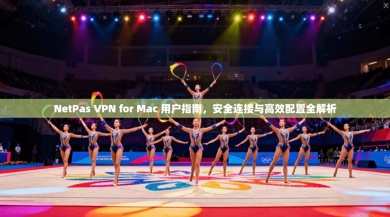 NetPas VPN for Mac 用户指南，安全连接与高效配置全解析