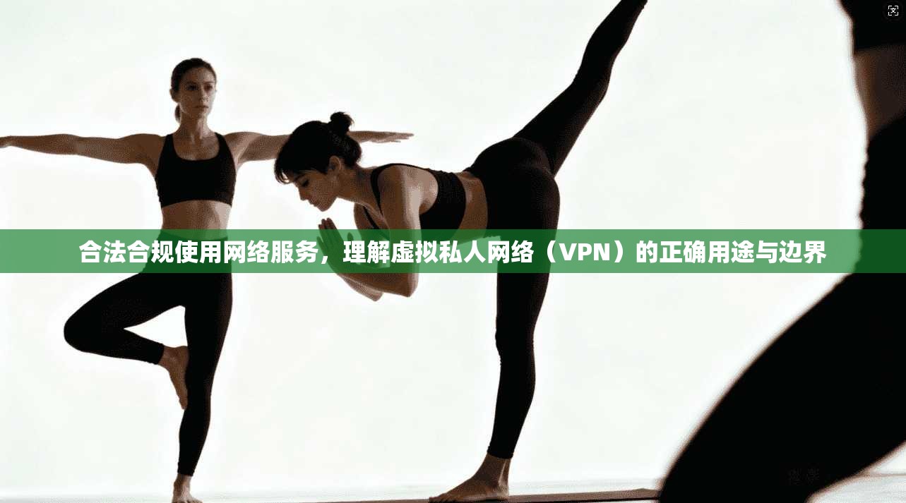 合法合规使用网络服务，理解虚拟私人网络（VPN）的正确用途与边界