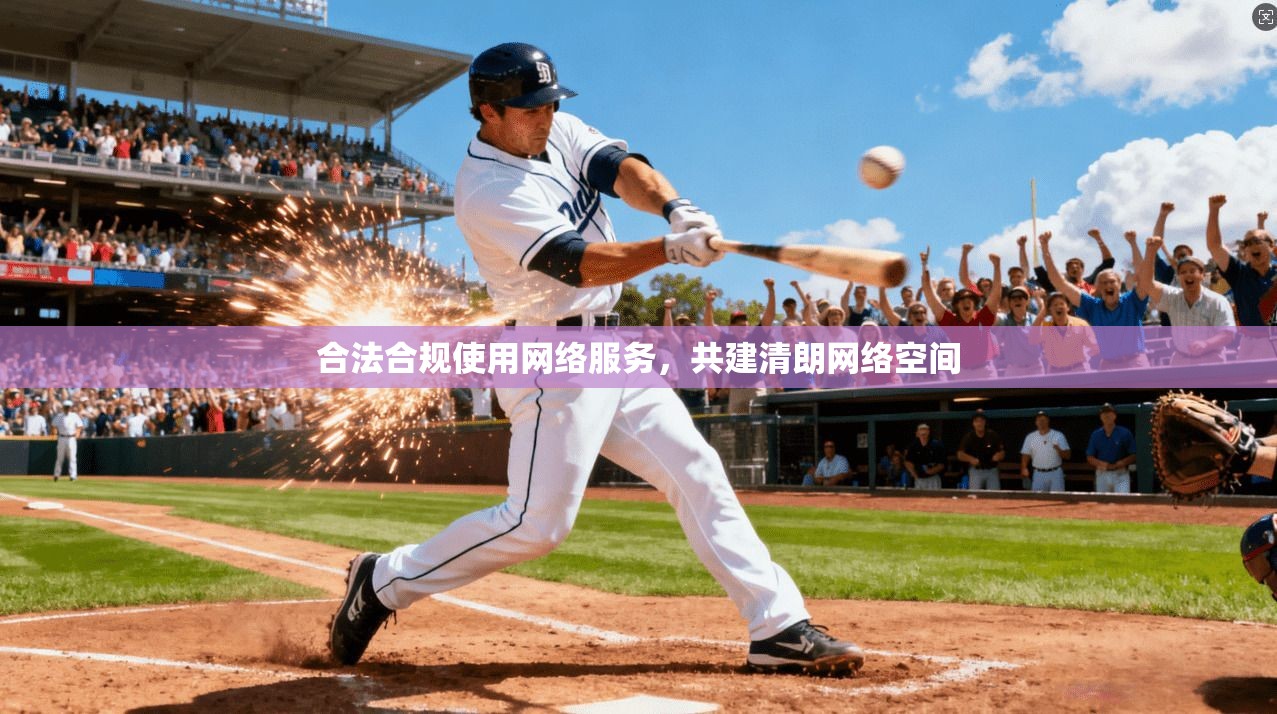 合法合规使用网络服务，共建清朗网络空间