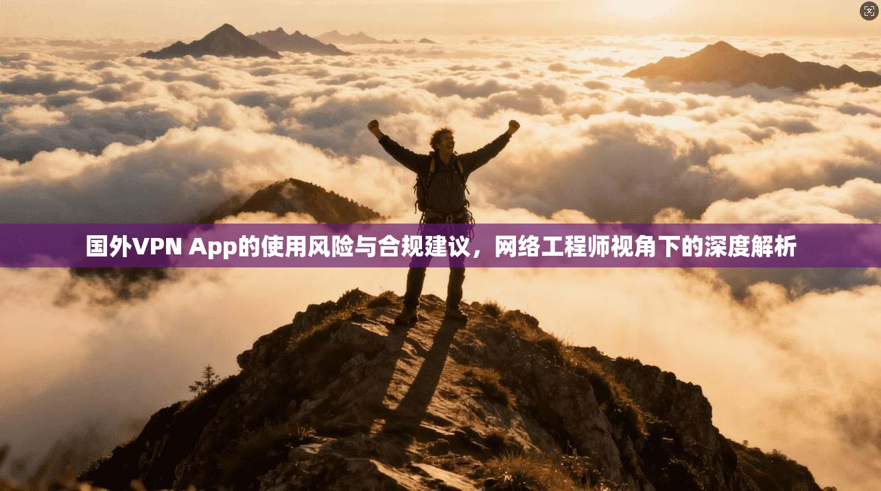 国外VPN App的使用风险与合规建议,网络工程师视角下的深度解析 国外VPN App的使用风险与合规建议,网络工程师视角下的深度解析