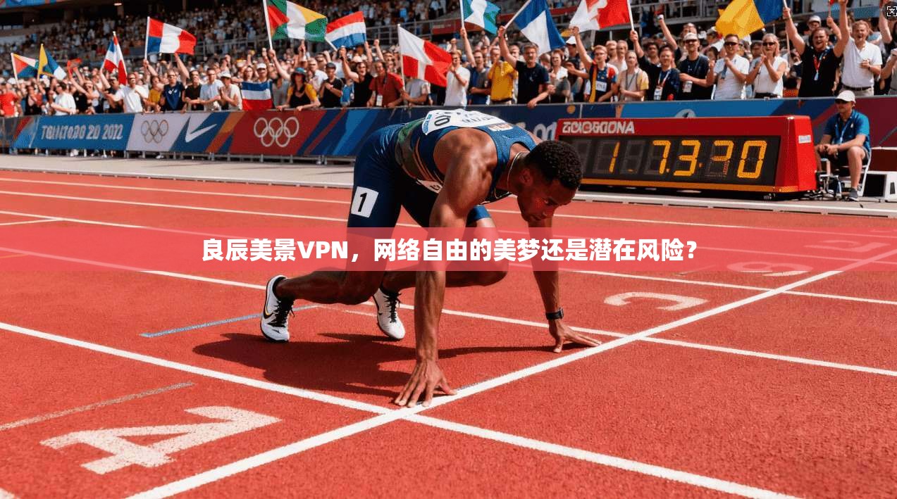 良辰美景VPN，网络自由的美梦还是潜在风险？