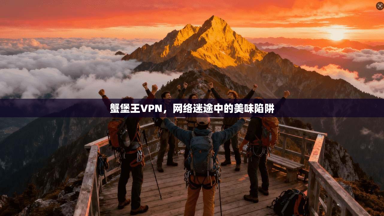 蟹堡王VPN，网络迷途中的美味陷阱