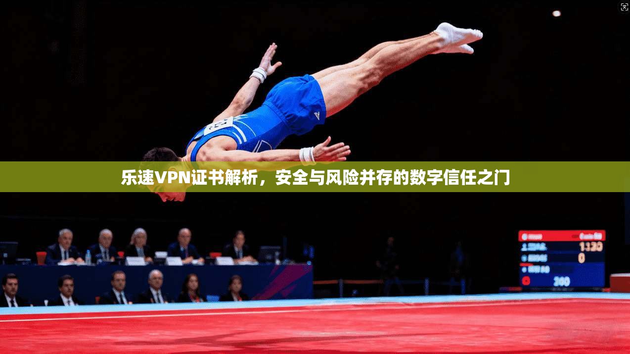 乐速VPN证书解析,安全与风险并存的数字信任之门 乐速VPN证书解析,安全与风险并存的数字信任之门