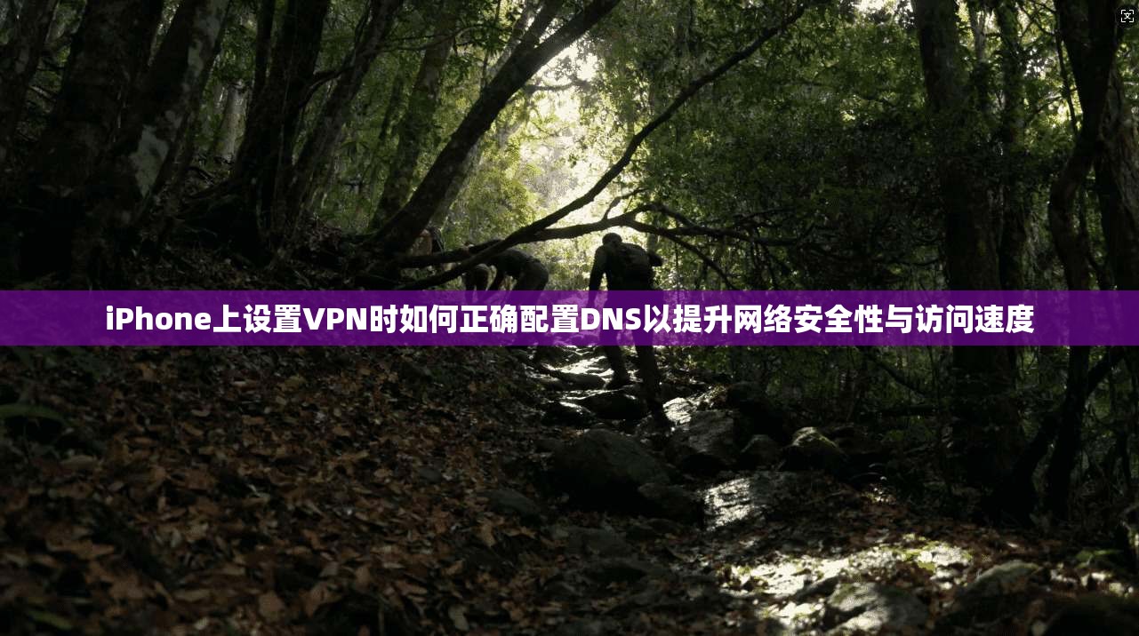 iPhone上设置VPN时如何正确配置DNS以提升网络安全性与访问速度