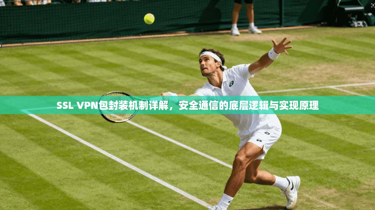 SSL VPN包封装机制详解,安全通信的底层逻辑与实现原理 SSL VPN包封装机制详解,安全通信的底层逻辑与实现原理