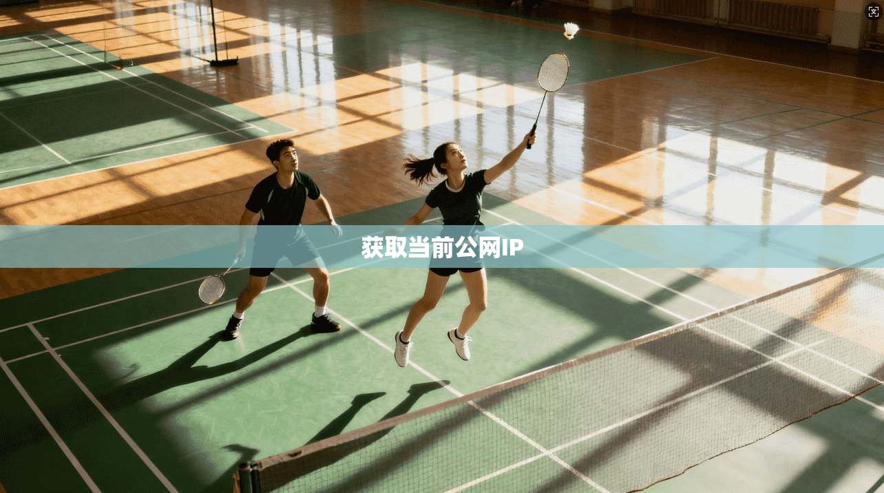 获取当前公网IP