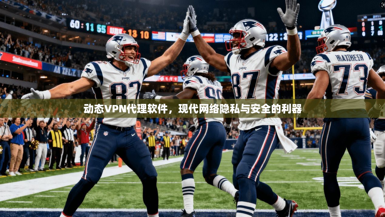 动态VPN代理软件，现代网络隐私与安全的利器