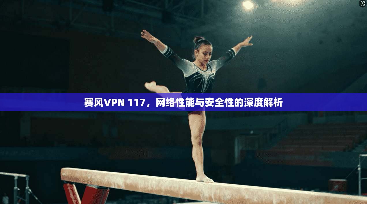 赛风VPN 117,网络性能与安全性的深度解析 赛风VPN 117,网络性能与安全性的深度解析