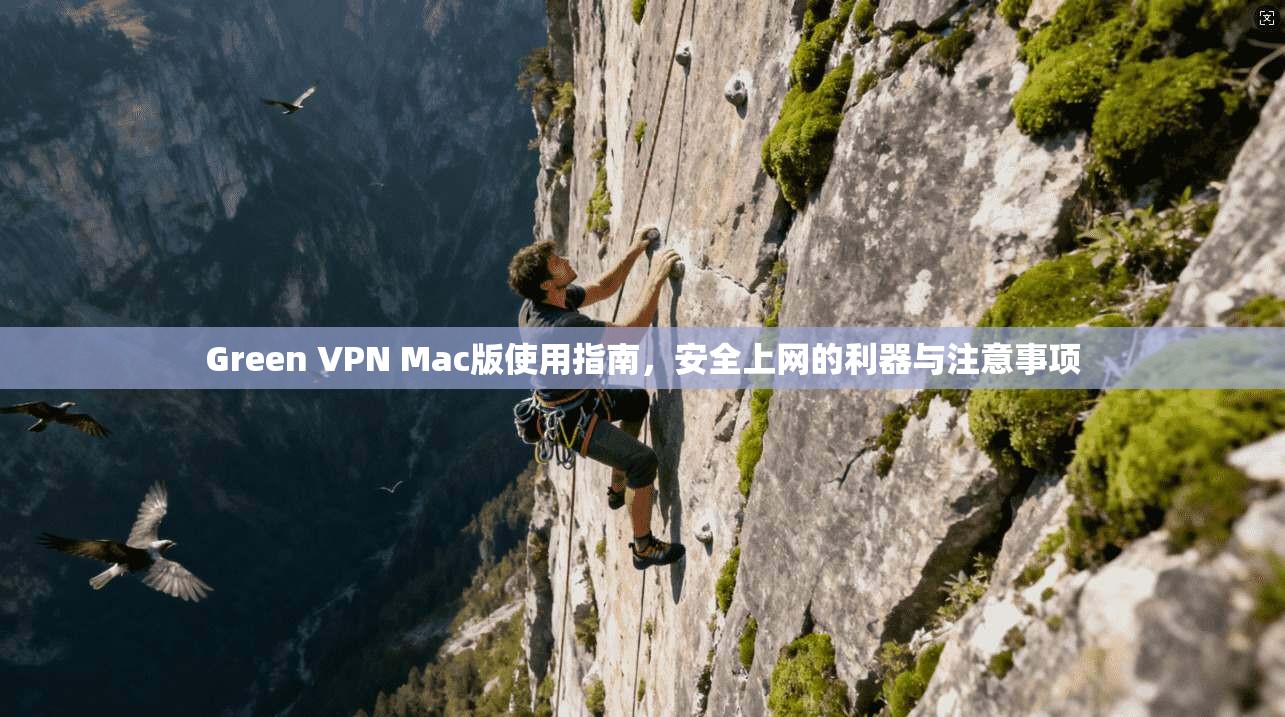 Green VPN Mac版使用指南,安全上网的利器与注意事项 Green VPN Mac版使用指南,安全上网的利器与注意事项