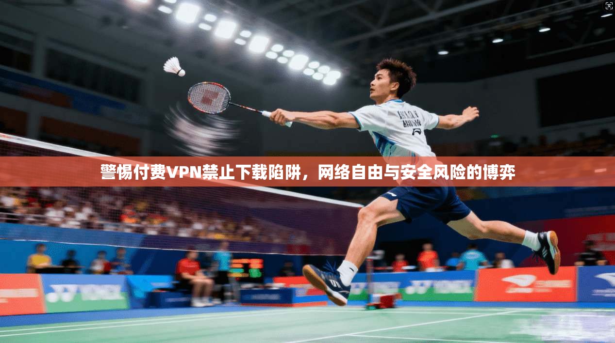 警惕付费VPN禁止下载陷阱，网络自由与安全风险的博弈