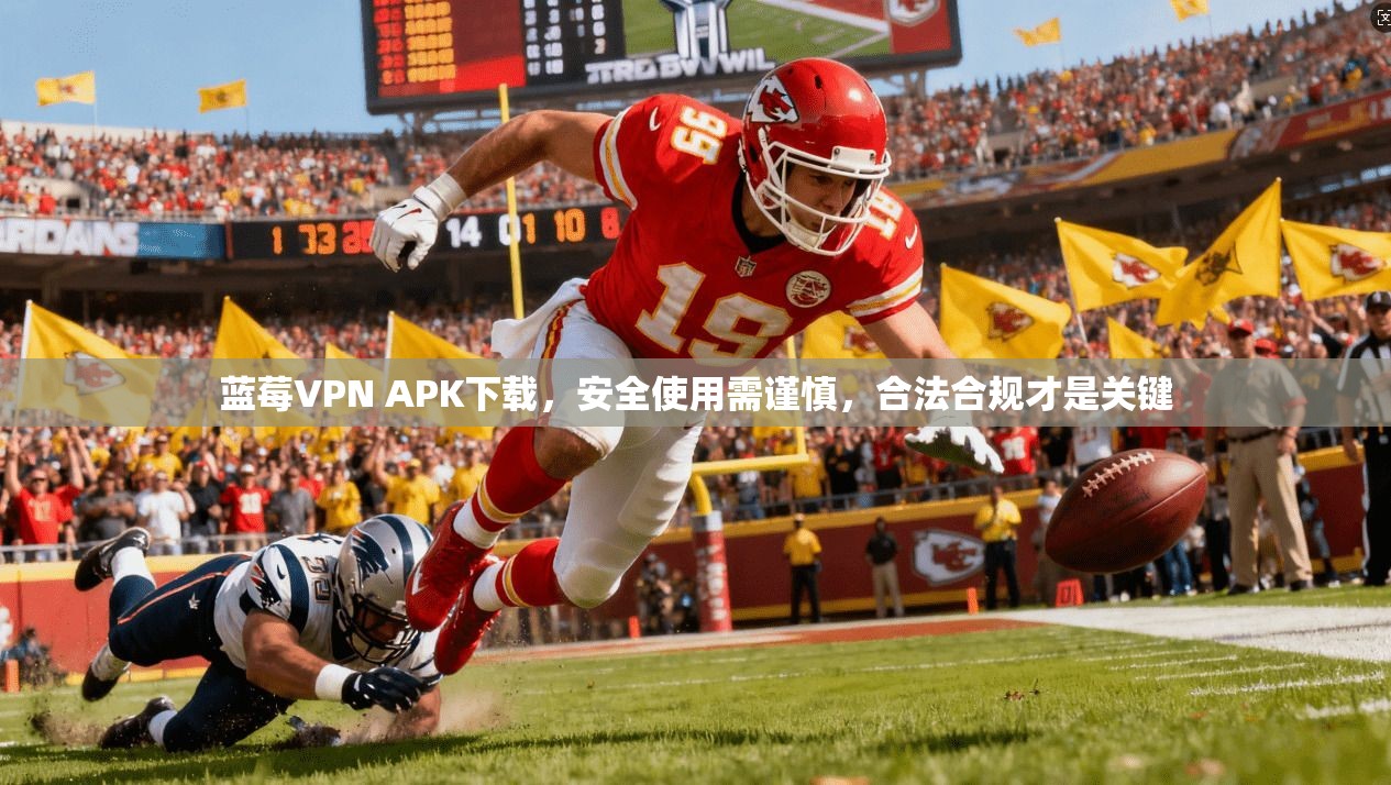 蓝莓VPN APK下载,安全使用需谨慎,合法合规才是关键 蓝莓VPN APK下载,安全使用需谨慎,合法合规才是关键