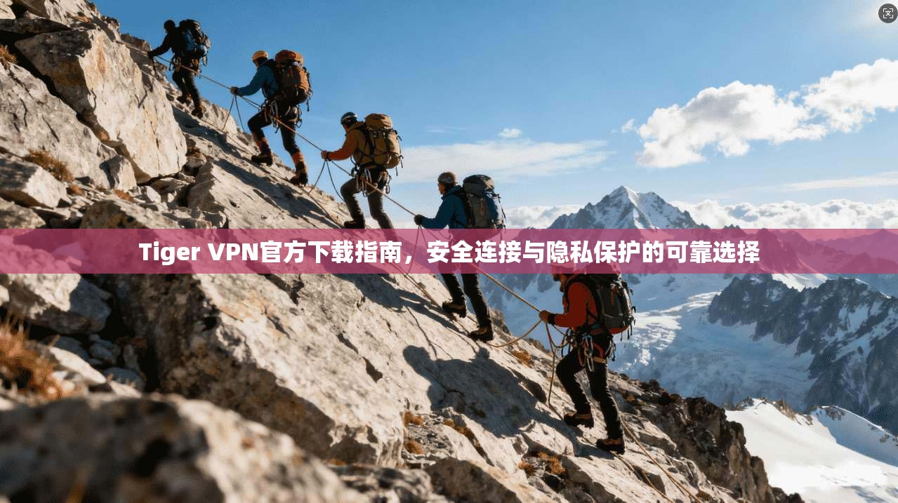 Tiger VPN官方下载指南，安全连接与隐私保护的可靠选择