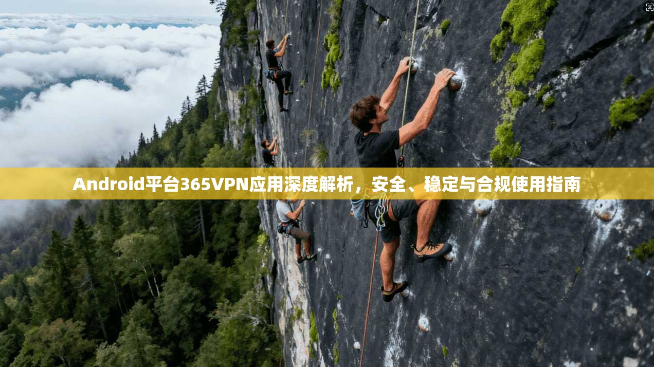 Android平台365VPN应用深度解析,安全、稳定与合规使用指南 Android平台365VPN应用深度解析,安全、稳定与合规使用指南