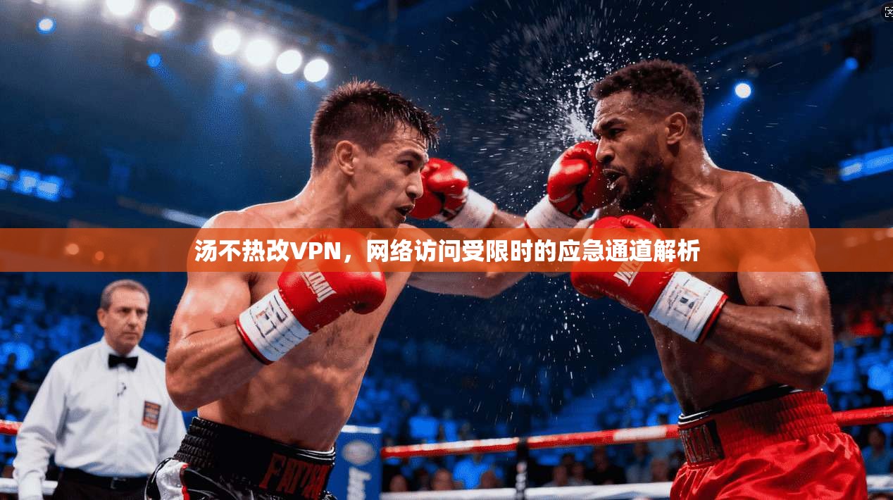 汤不热改VPN，网络访问受限时的应急通道解析