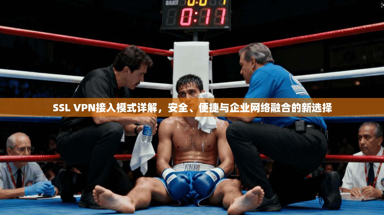 SSL VPN接入模式详解，安全、便捷与企业网络融合的新选择