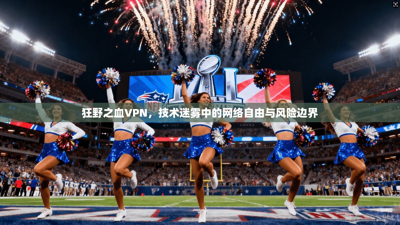 狂野之血VPN,技术迷雾中的网络自由与风险边界 狂野之血VPN,技术迷雾中的网络自由与风险边界