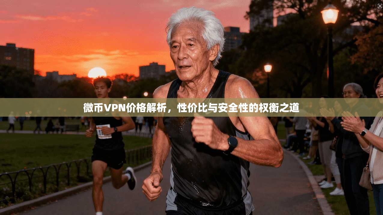 微币VPN价格解析,性价比与安全性的权衡之道 微币VPN价格解析,性价比与安全性的权衡之道