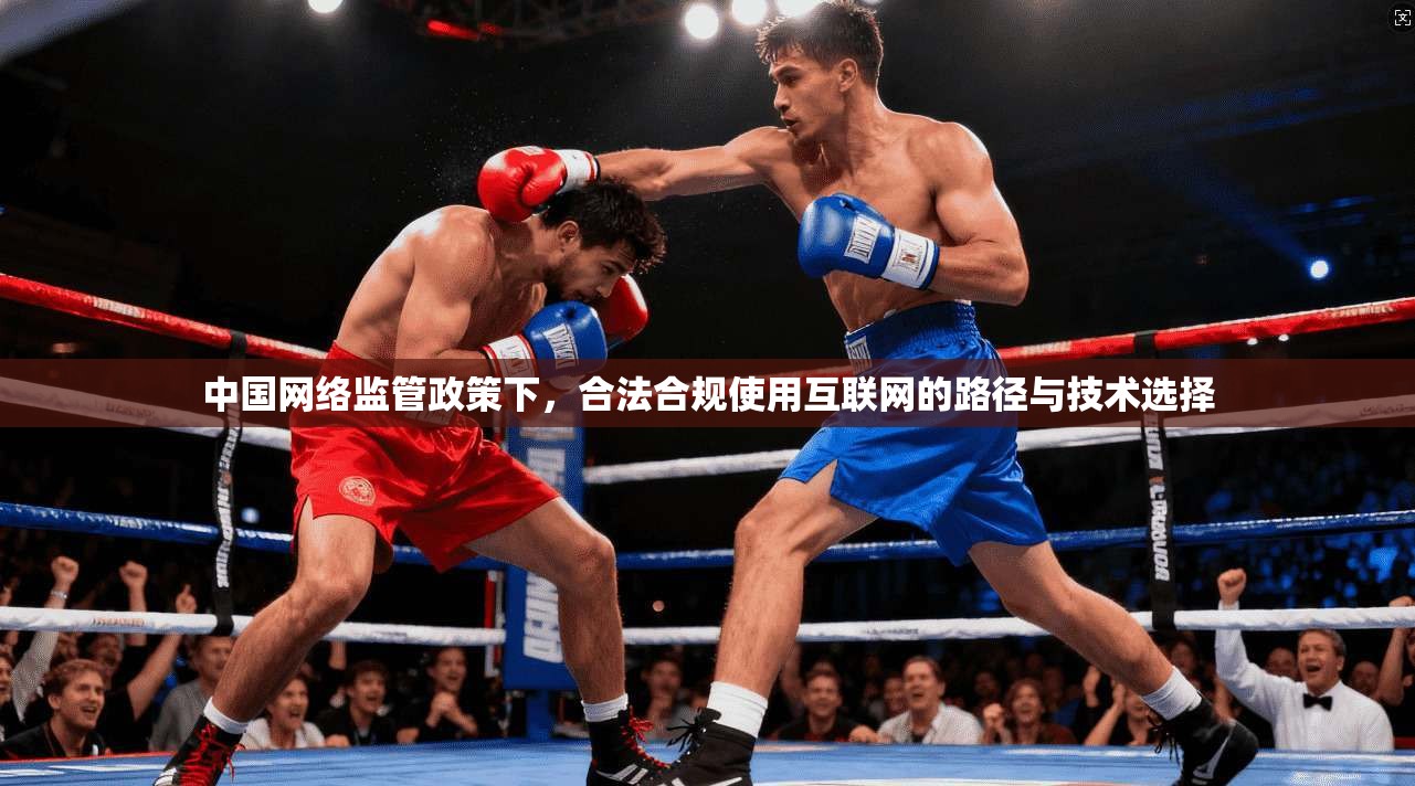 中国网络监管政策下，合法合规使用互联网的路径与技术选择
