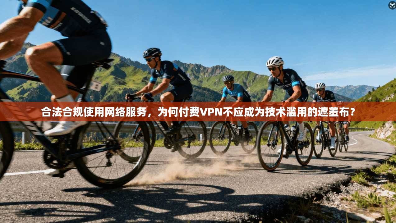 合法合规使用网络服务，为何付费VPN不应成为技术滥用的遮羞布？