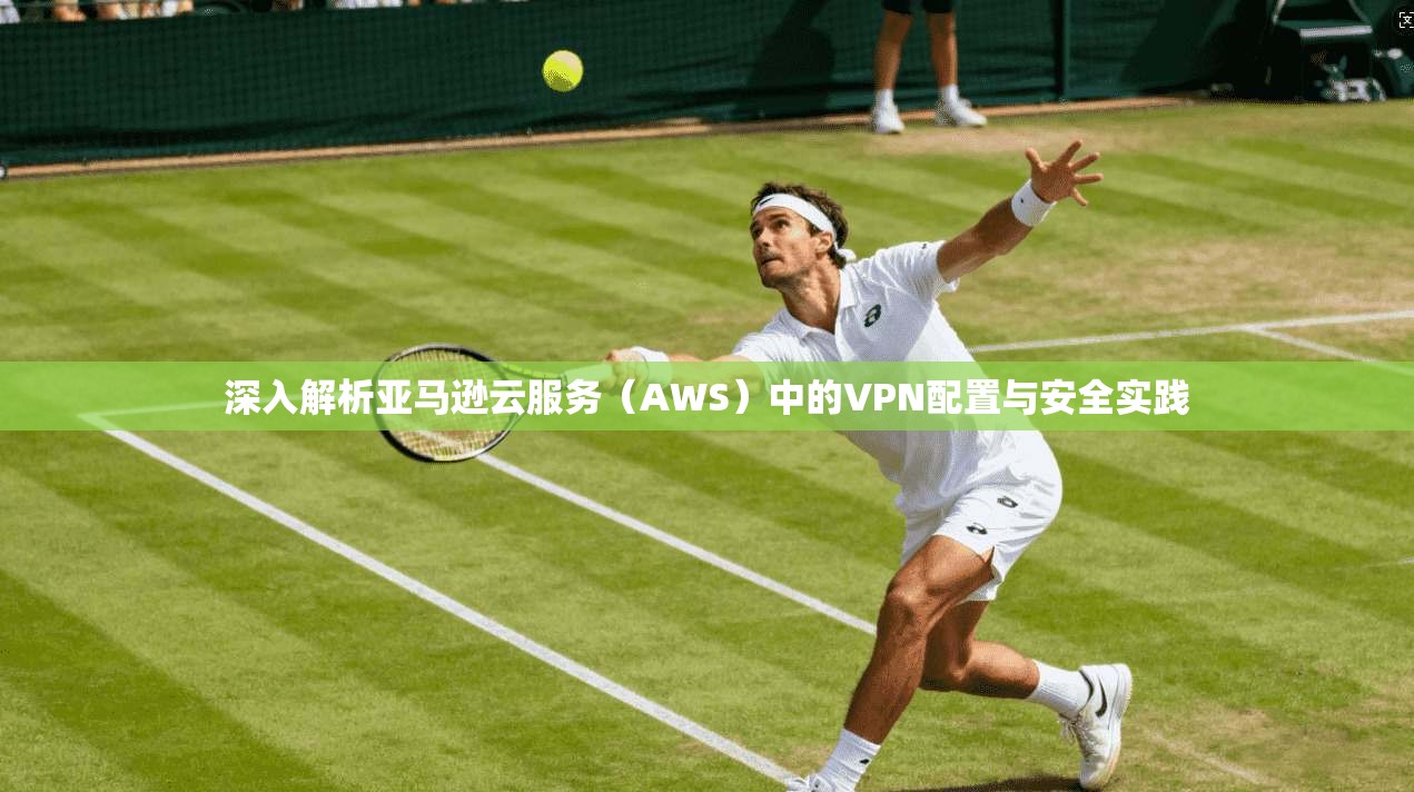 深入解析亚马逊云服务(AWS)中的VPN配置与安全实践 深入解析亚马逊云服务(AWS)中的VPN配置与安全实践