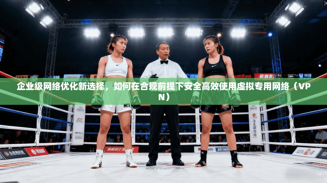 企业级网络优化新选择,如何在合规前提下安全高效使用虚拟专用网络(VPN) 企业级网络优化新选择,如何在合规前提下安全高效使用虚拟专用网络(VPN)