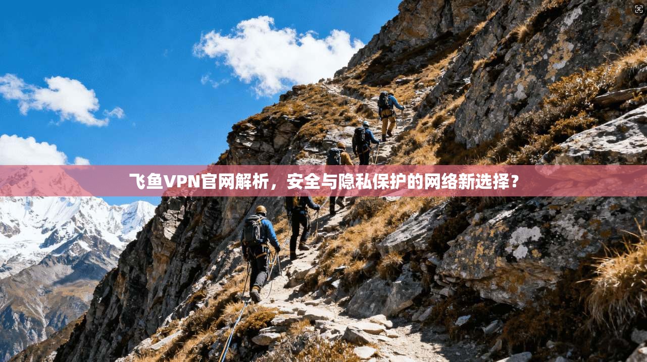 飞鱼VPN官网解析,安全与隐私保护的网络新选择? 飞鱼VPN官网解析,安全与隐私保护的网络新选择?