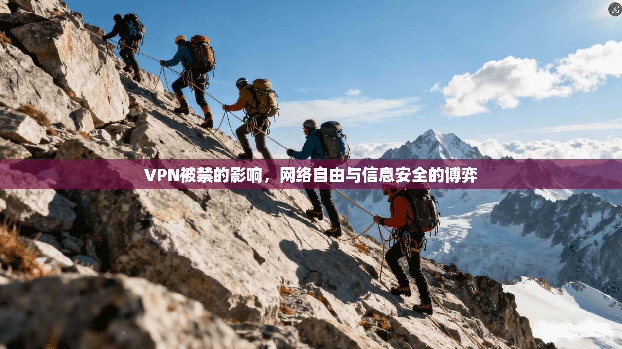 VPN被禁的影响，网络自由与信息安全的博弈