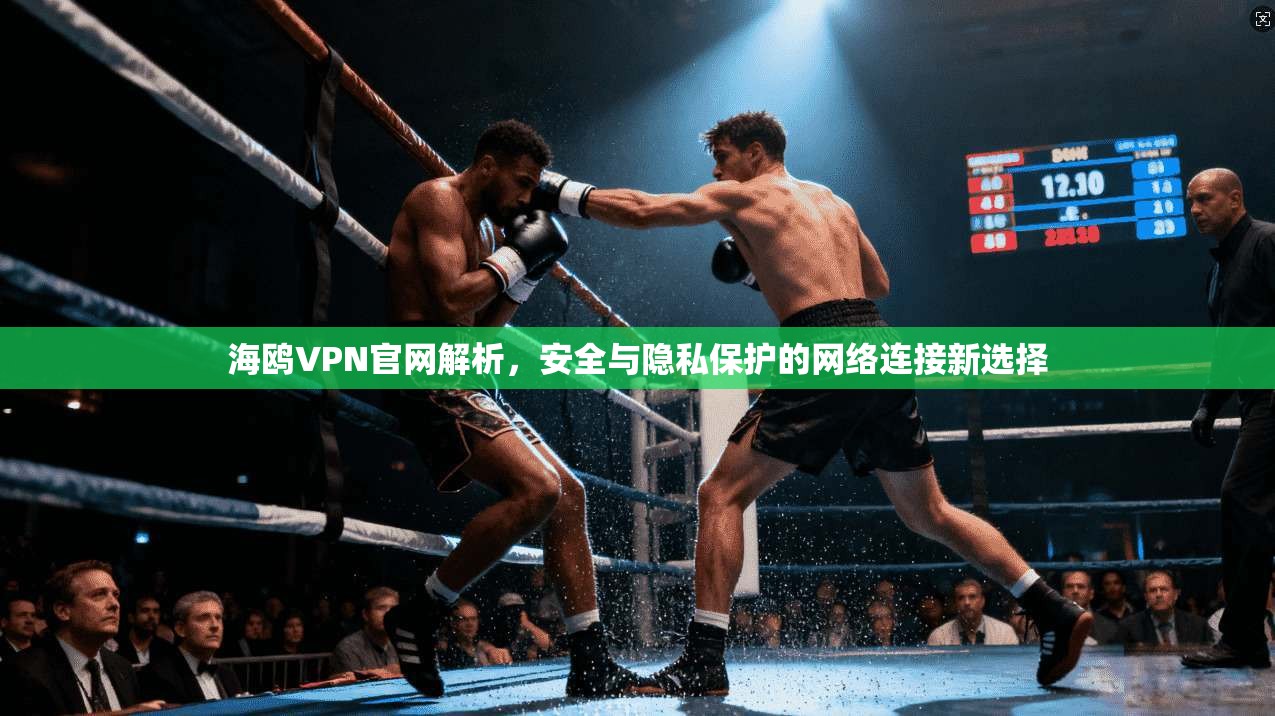 海鸥VPN官网解析，安全与隐私保护的网络连接新选择