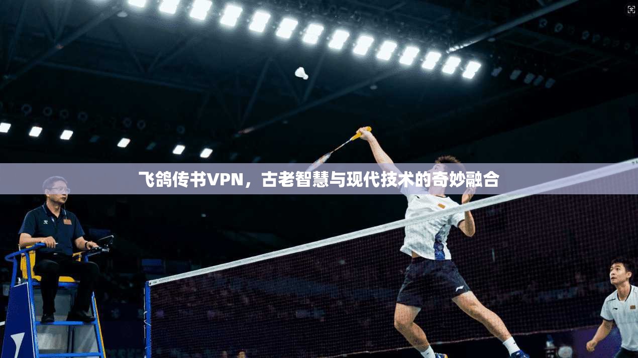 飞鸽传书VPN,古老智慧与现代技术的奇妙融合 飞鸽传书VPN,古老智慧与现代技术的奇妙融合