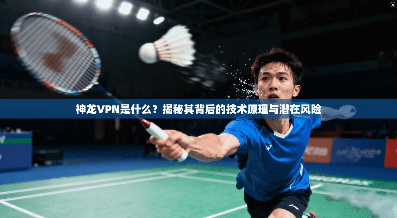 神龙VPN是什么?揭秘其背后的技术原理与潜在风险 神龙VPN是什么?揭秘其背后的技术原理与潜在风险