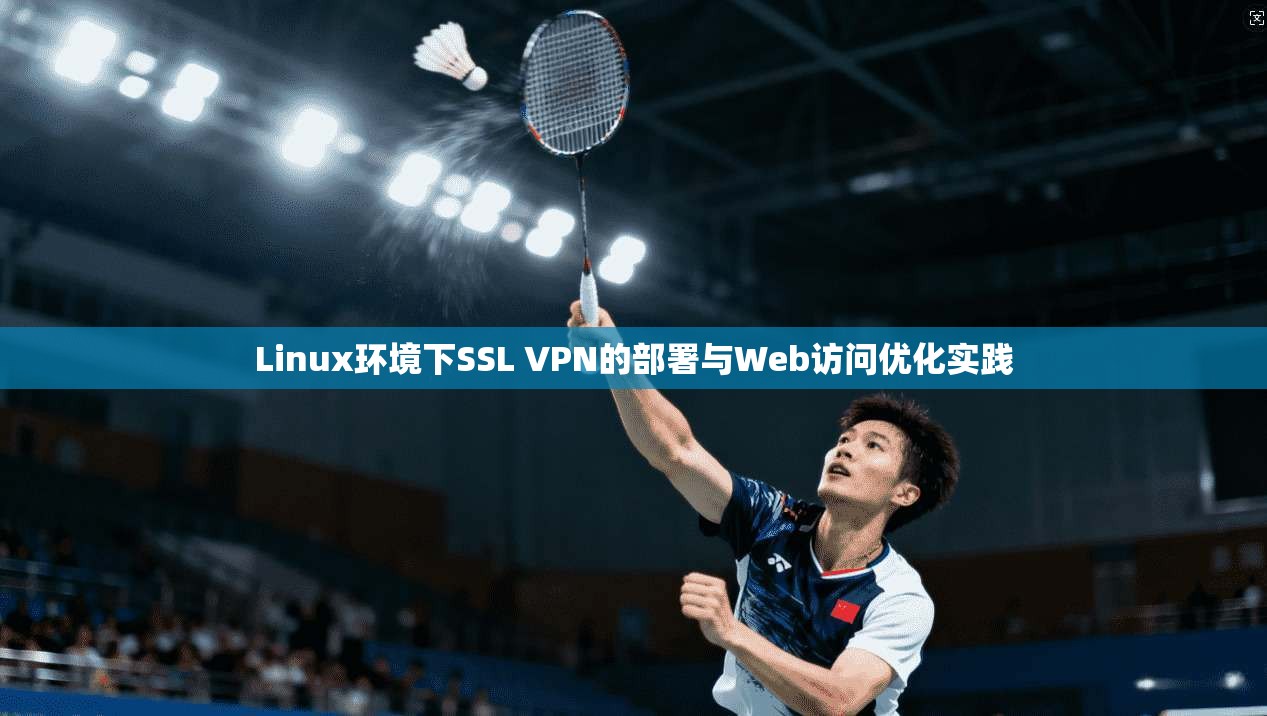 Linux环境下SSL VPN的部署与Web访问优化实践