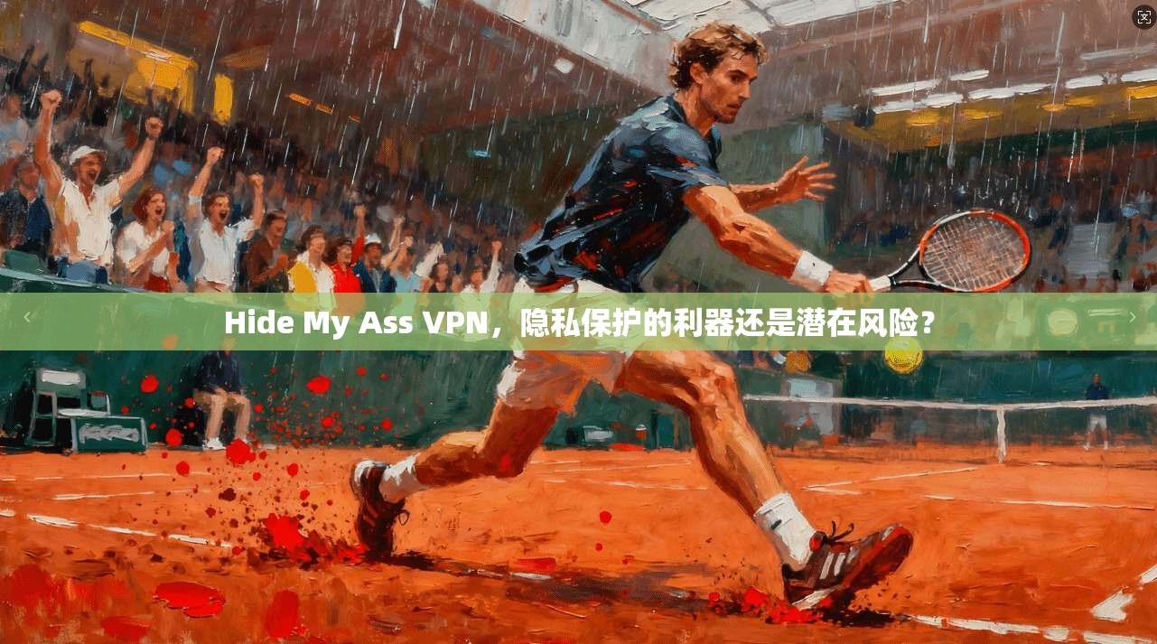 Hide My Ass VPN，隐私保护的利器还是潜在风险？