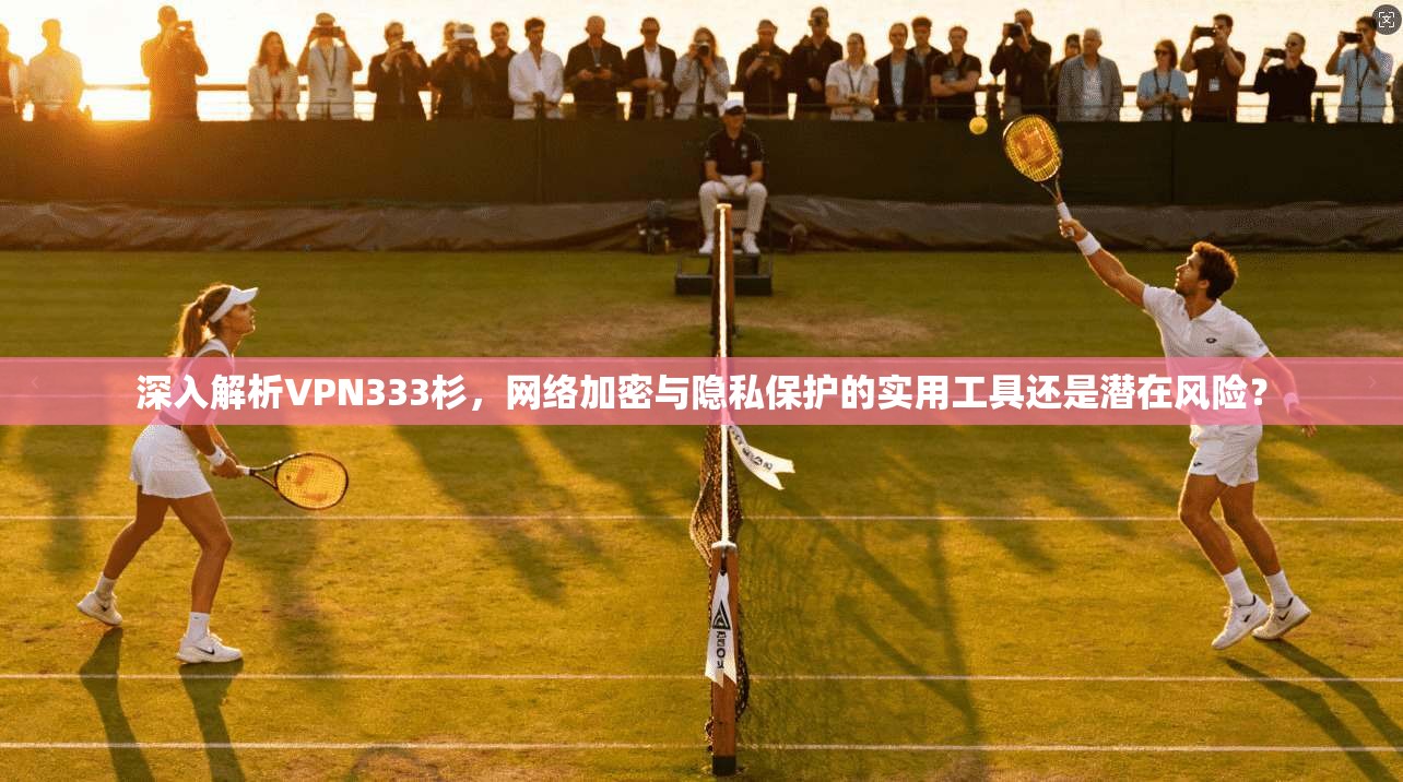 深入解析VPN333杉，网络加密与隐私保护的实用工具还是潜在风险？