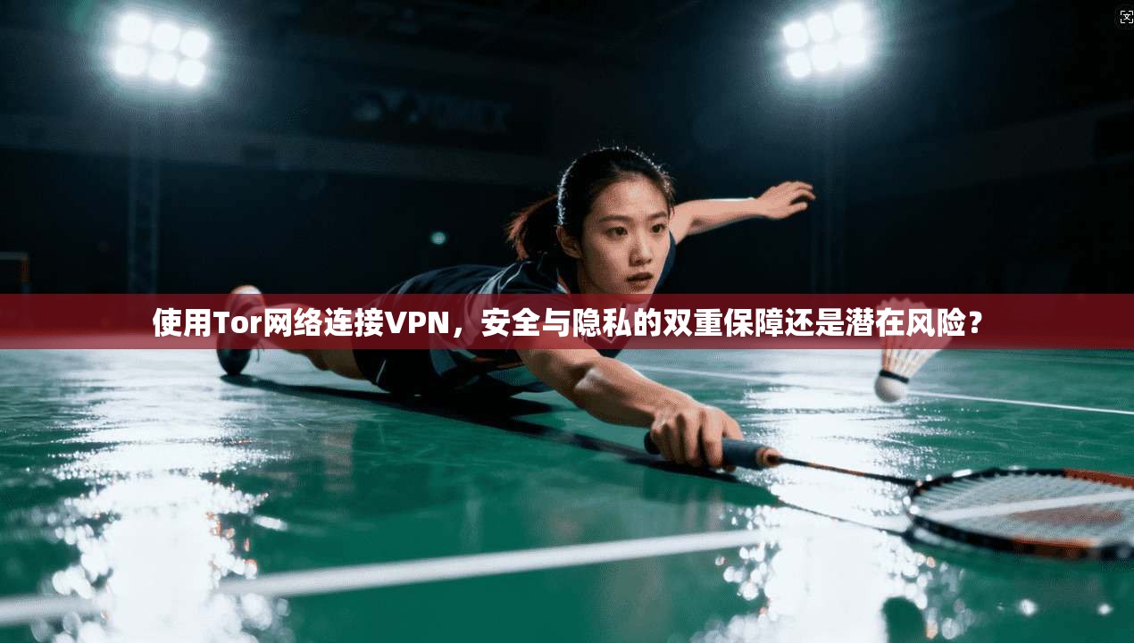 使用Tor网络连接VPN，安全与隐私的双重保障还是潜在风险？